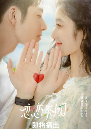 دانلود مینی سریال چینی عشق در باغ چای 2024 Love in the Tea Garden