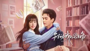 دانلود مینی سریال چینی کاری به قهرمانم نداشته باش 2025 Bie Dong Wo De Nan Zhu Jiao