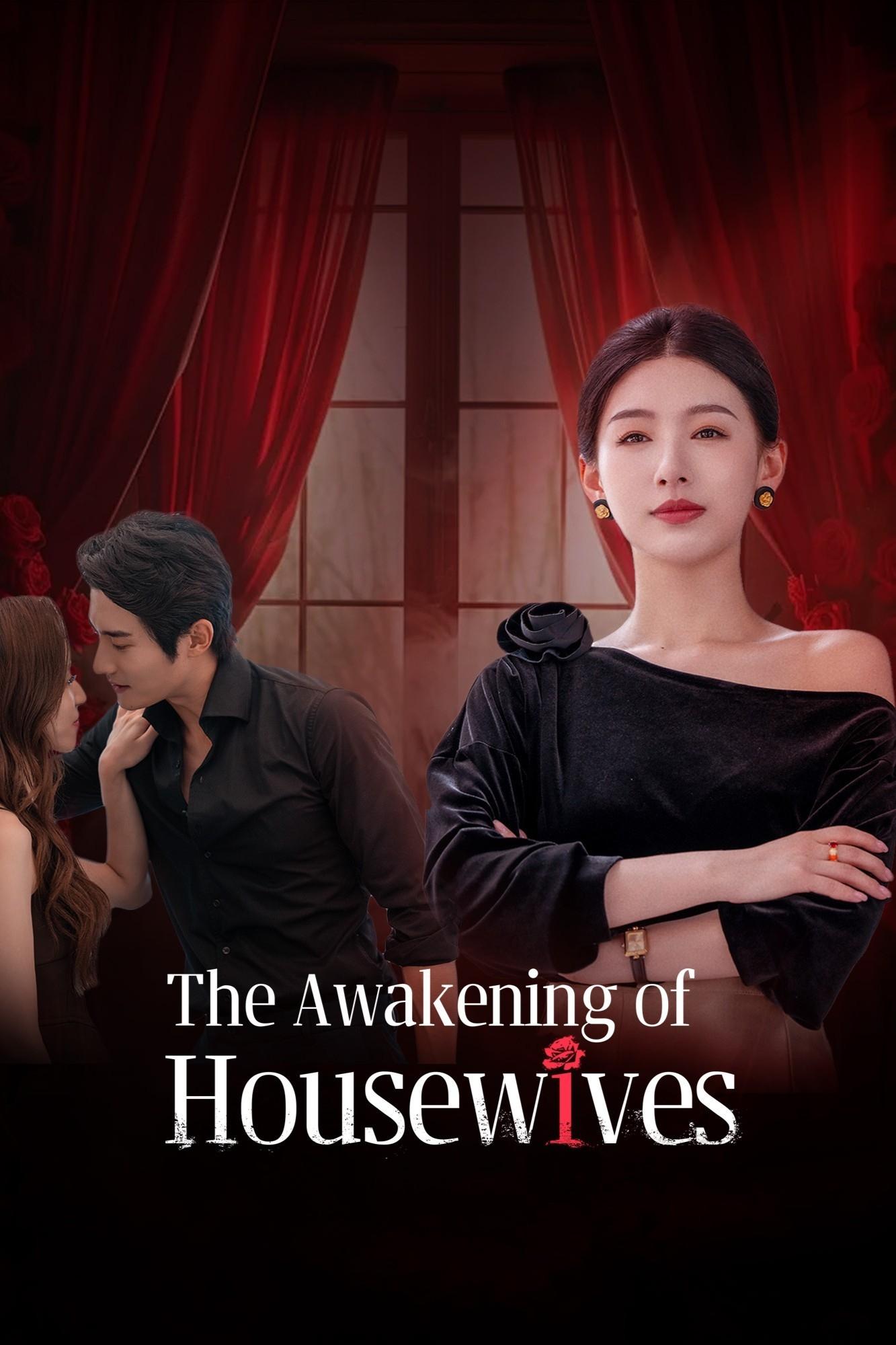 دانلود مینی سریال چینی بیداری خونه دارها 2025 The Awakening of Housewives
