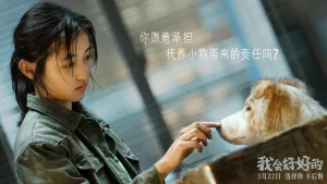 دانلود فیلم چینی زندگی تازه 2025 New Life