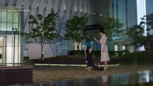 دانلود سریال کره ای دروغگوی بی نظیر 2025 A Graceful Liar